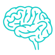 MRI Brain