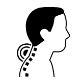 Neck MRI