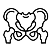 Pelvic MRI