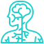 nervous-system