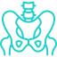 pelvis-3