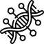 whole genome